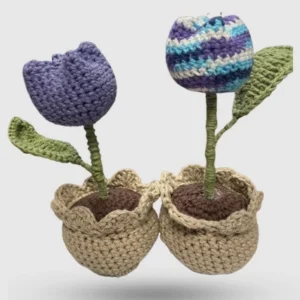 Crochet Tulips
